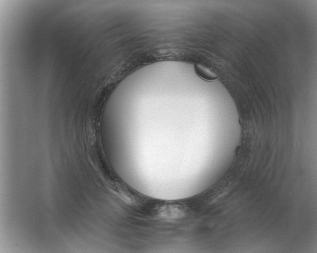 X0000063520751200602101951