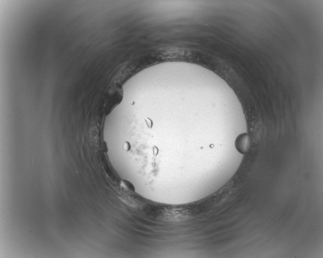 X0000063520753200602101951