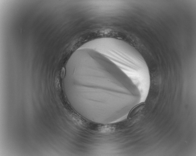 X0000063520754200602101951