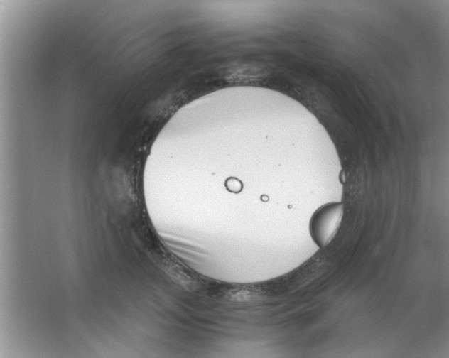 X0000063520755200602101951