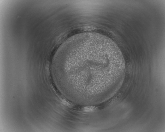 X0000063520757200602101951