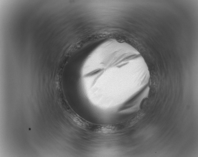 X0000063520758200602101951