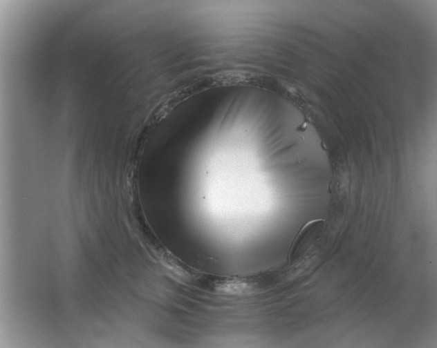 X0000063520759200602101951