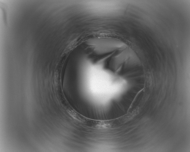 X0000063520760200602101951