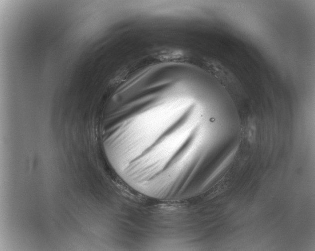 X0000063520763200602101951