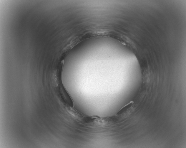 X0000063520764200602101951