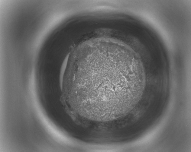 X0000063520765200602101951