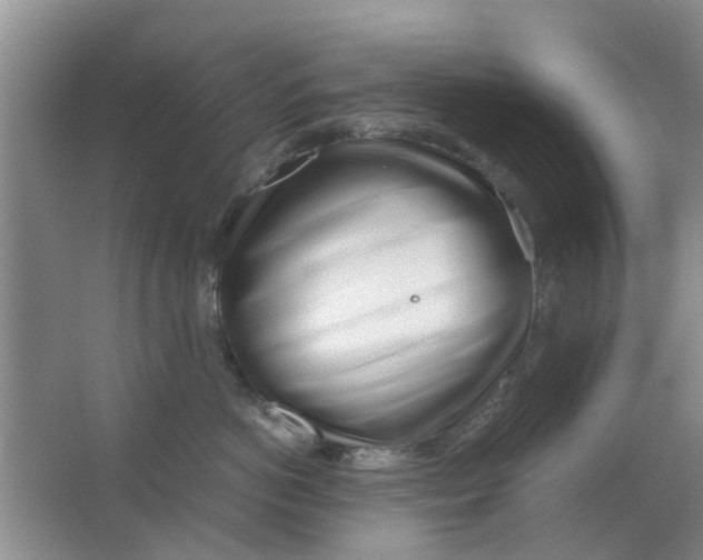 X0000063520766200602101951