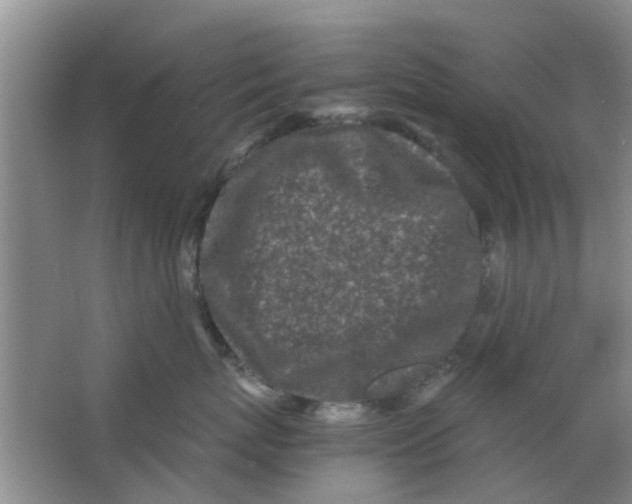 X0000063520767200602101951