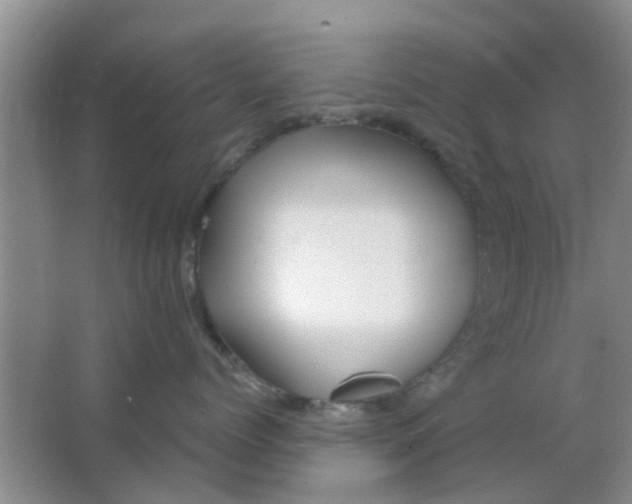 X0000063520768200602101951