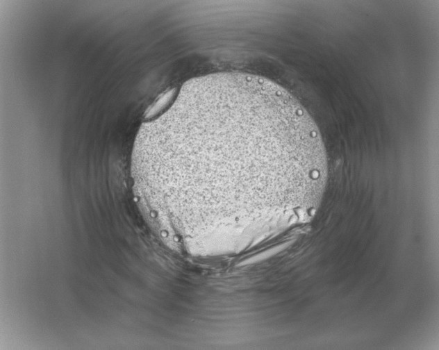 X0000063520772200602101950