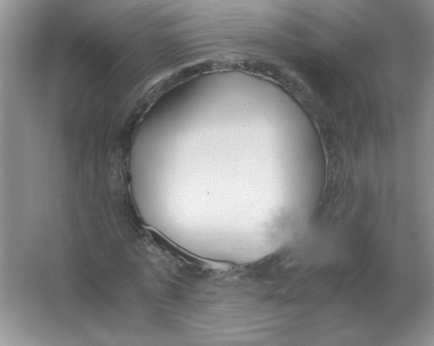 X0000063520773200602101950