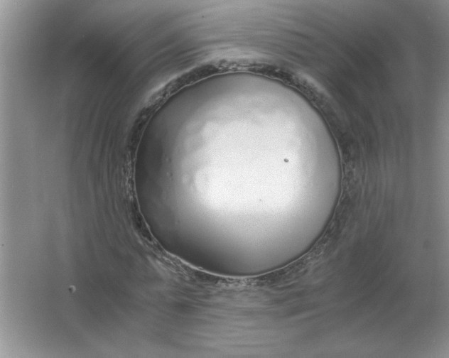 X0000063520775200602101950