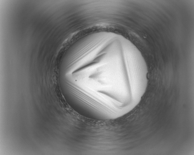 X0000063520776200602101950