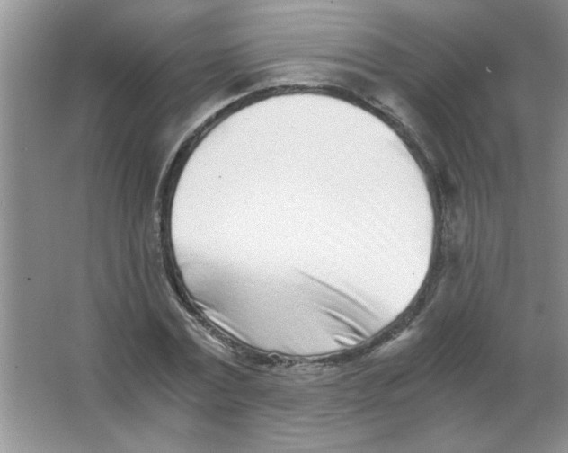 X0000063520779200602101950