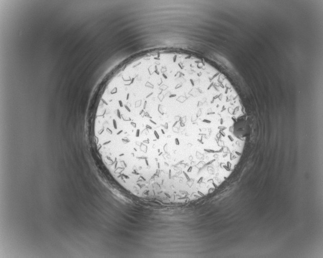 X0000063520780200602101950