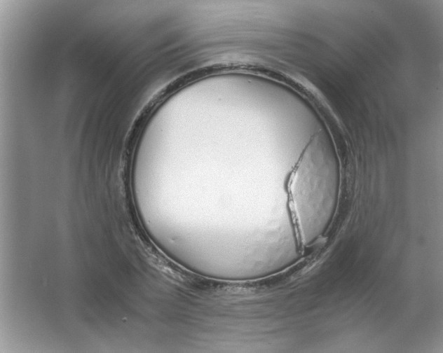 X0000063520783200602101950