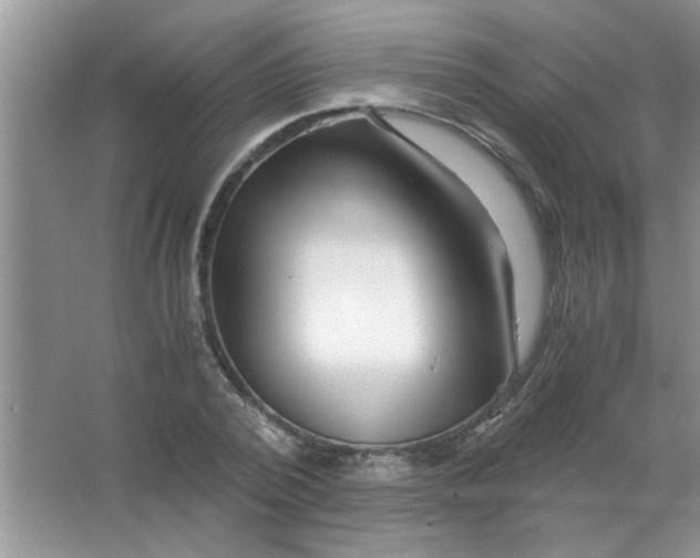 X0000063520784200602101950