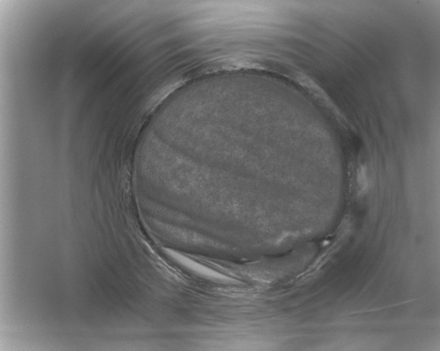 X0000063520785200602101950