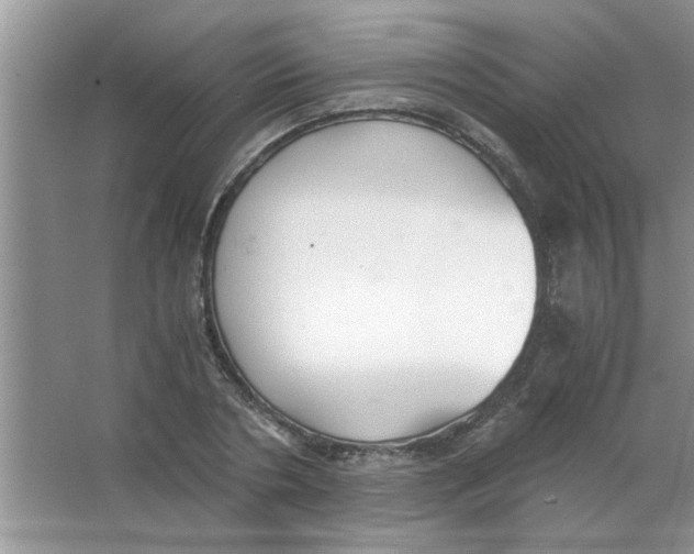 X0000063520786200602101950