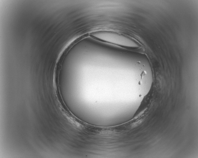 X0000063520788200602101950