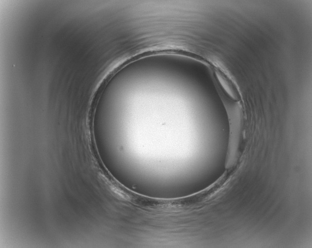 X0000063520789200602101950