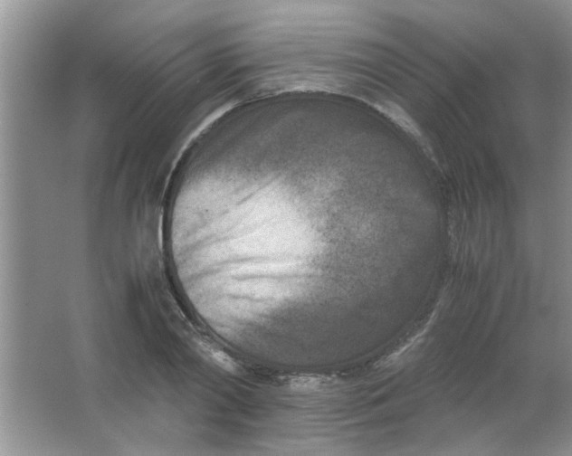 X0000063520790200602101950