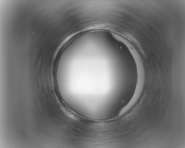 X0000063520792200602101950