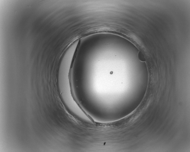 X0000063520793200602101950