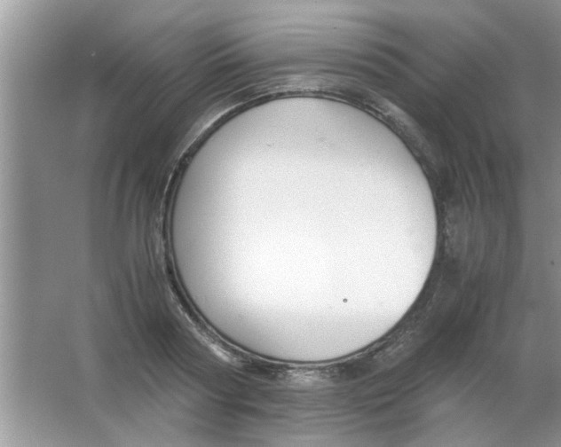 X0000063520794200602101950