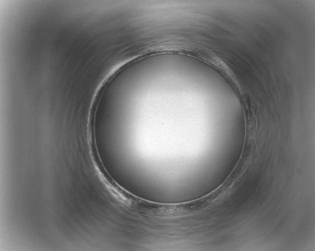 X0000063520795200602101950