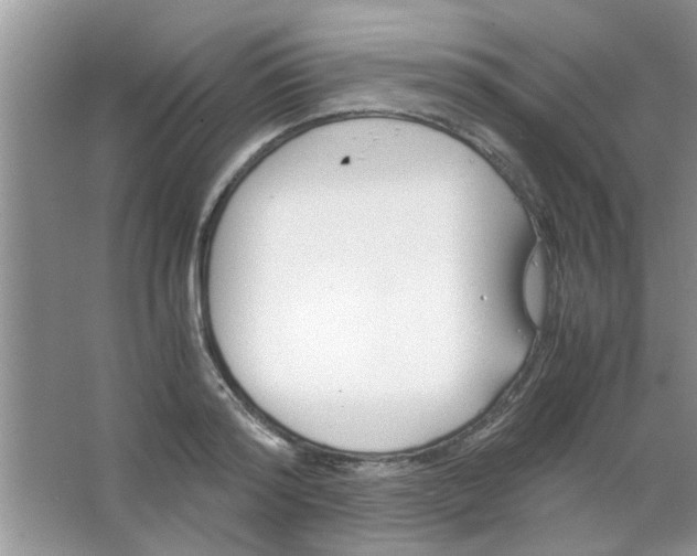 X0000063520796200602101950