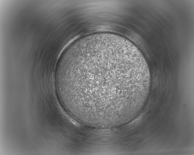 X0000063520798200602101950