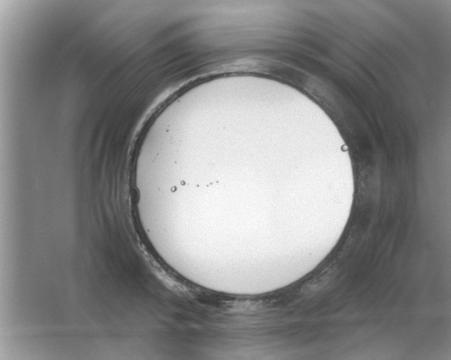 X0000063520800200602101950