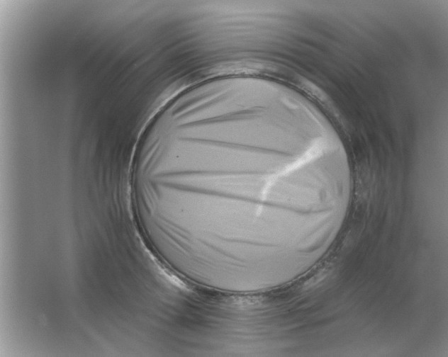 X0000063520802200602101950