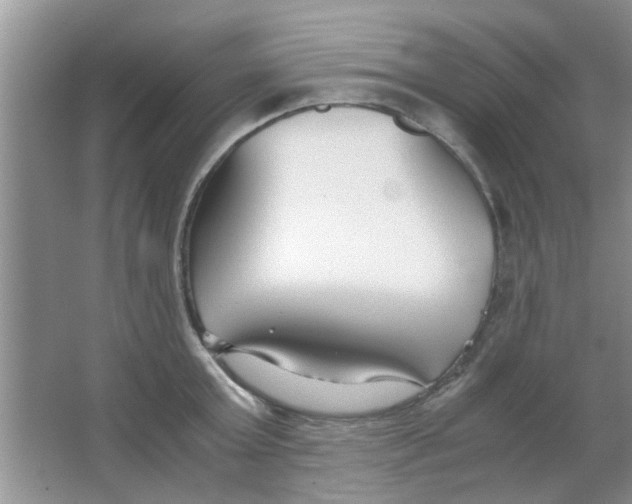 X0000063520803200602101950