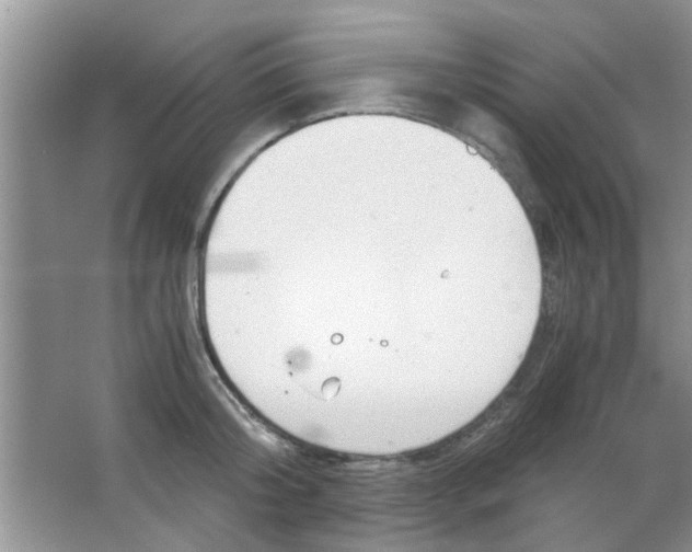 X0000063520804200602101950