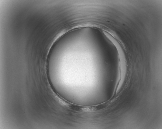 X0000063520805200602101950