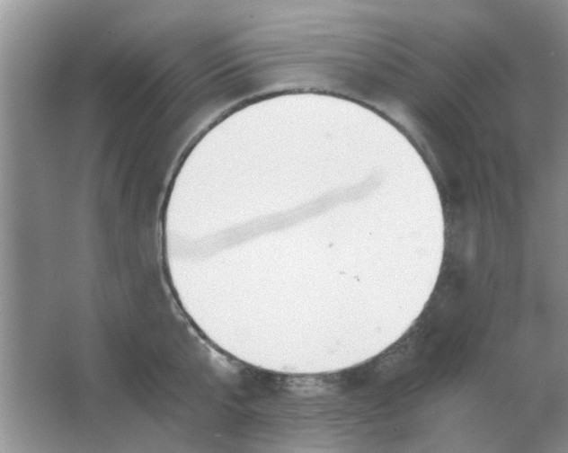 X0000063520807200602101950