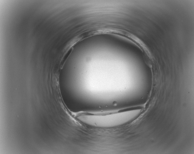 X0000063520809200602101950