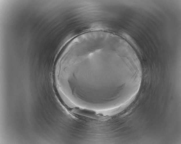 X0000063520810200602101950