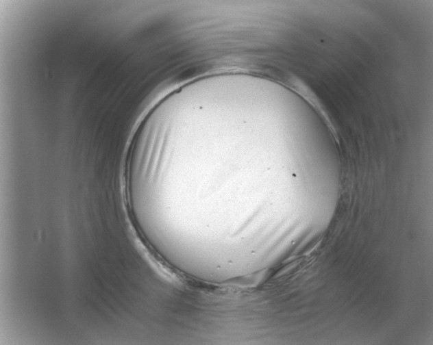 X0000063520811200602101950