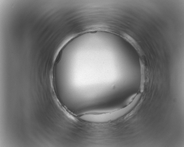 X0000063520812200602101950