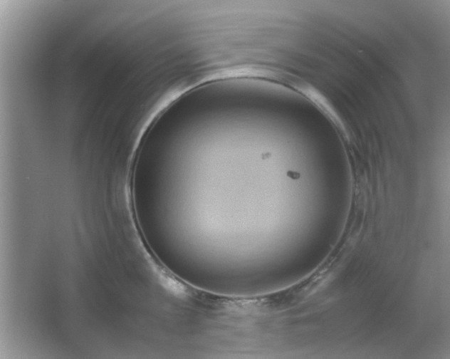 X0000063520813200602101950