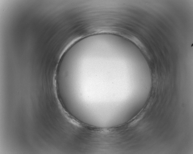 X0000063520814200602101950