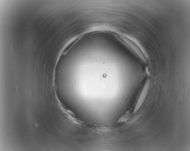 X0000063520815200602101950