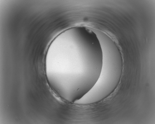 X0000063520816200602101950