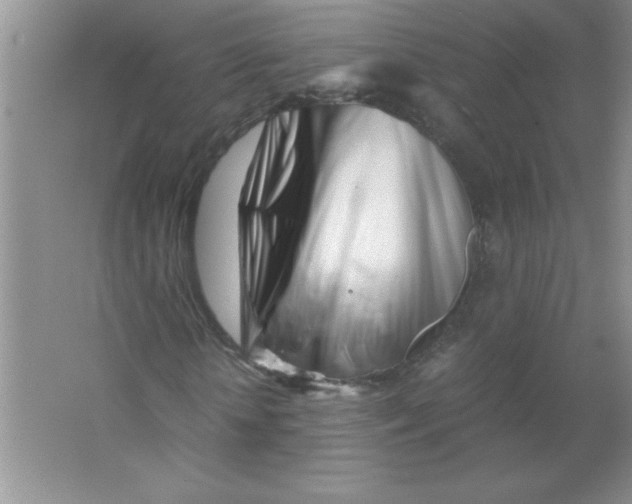 X0000063520818200602101949