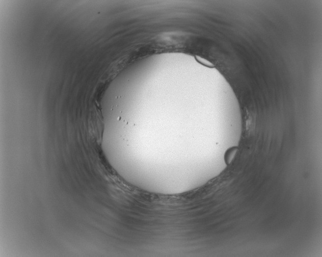 X0000063520819200602101949