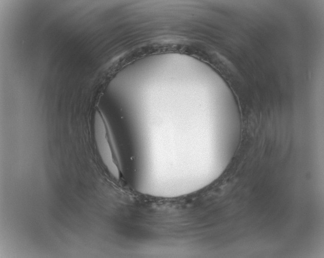 X0000063520821200602101949